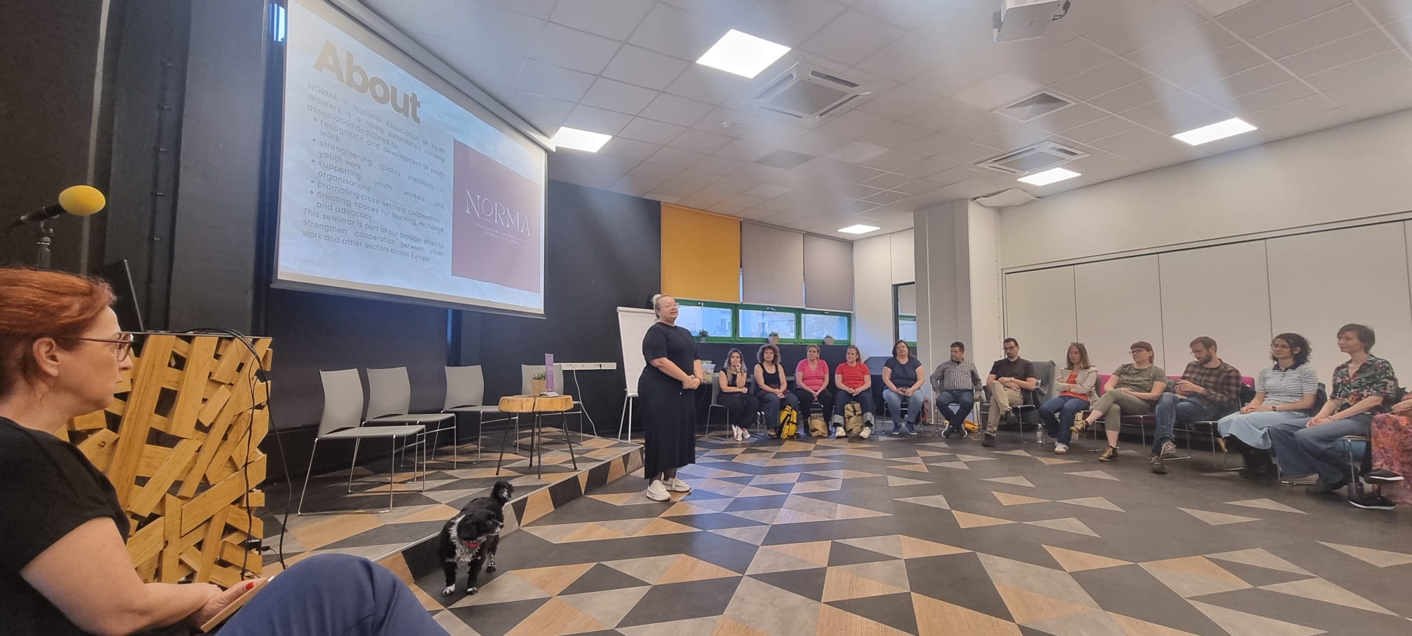Erasmus+ > Seminário Internacional sobre Cooperação Intersetorial no Trabalho com Jovens